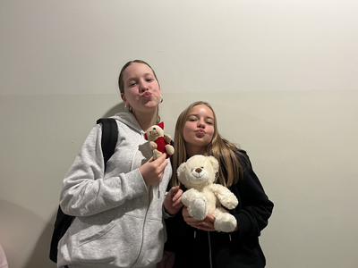 MicrosoftTeams-image_(5)